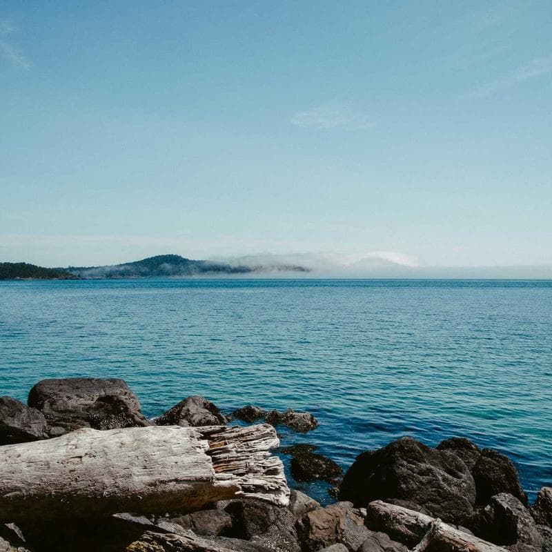 Bhagalpur Agriculture University